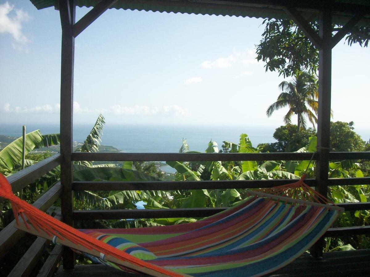 mango tree lodge Bouillante Exterior foto
